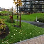 Oslo Golden Choice